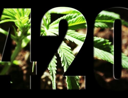 4 Ways to Promote Your Cannabis Products with a 420 Campaign