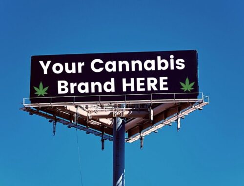 How to Create a Brand: Cannabis Brand Development Tips for Your Company